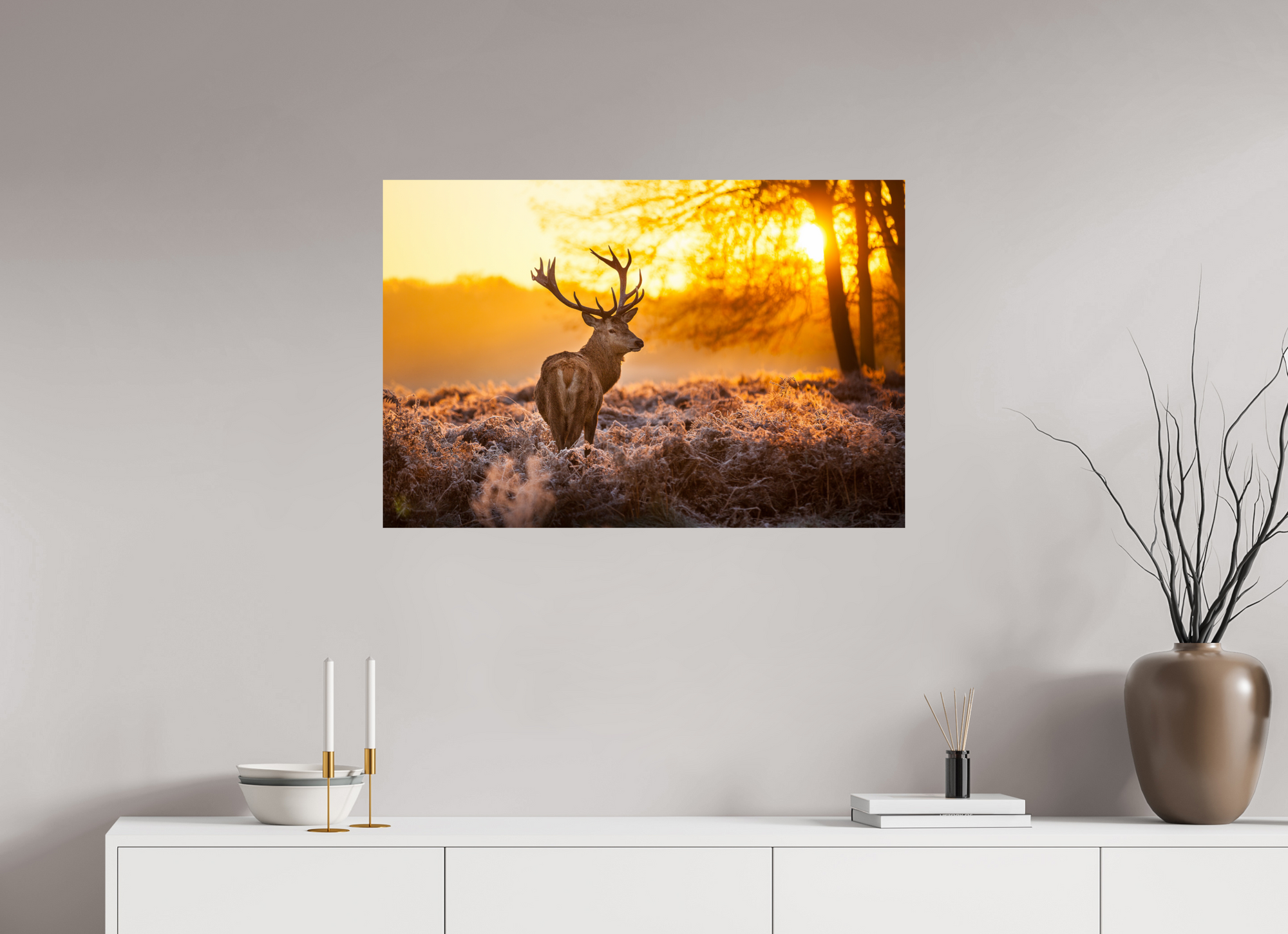 Cerf Sologne