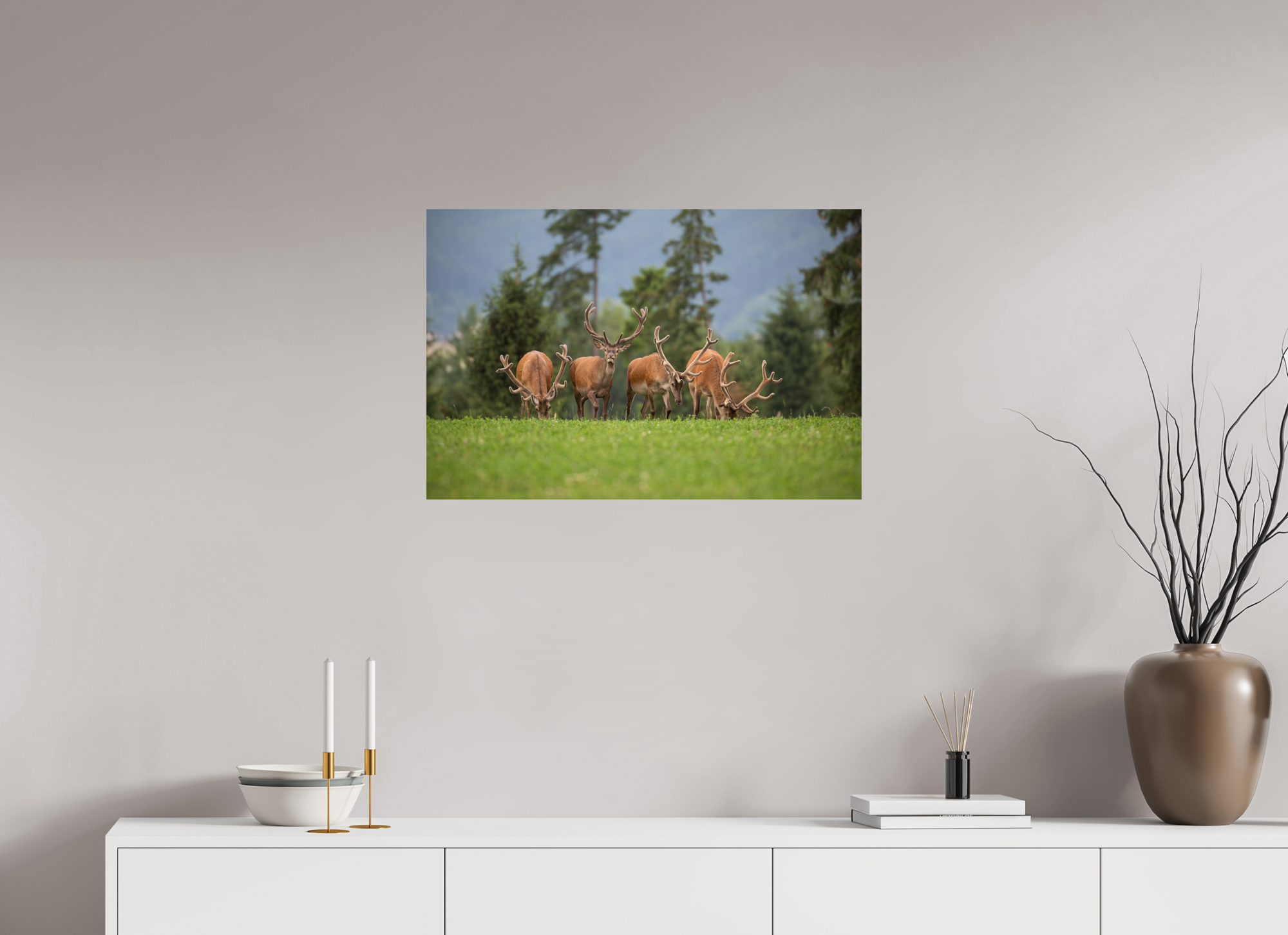 Cerf Alpes