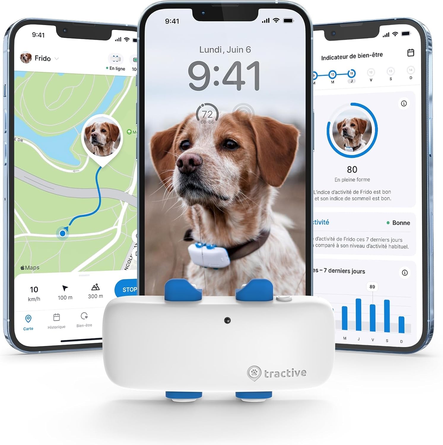 – Collier GPS Pour Chien - Élue Marque De L'Année - Localisation Globale En Direct - Alertes Anti-Fugue - Moniteur D'Activité Avec Alertes De Santé