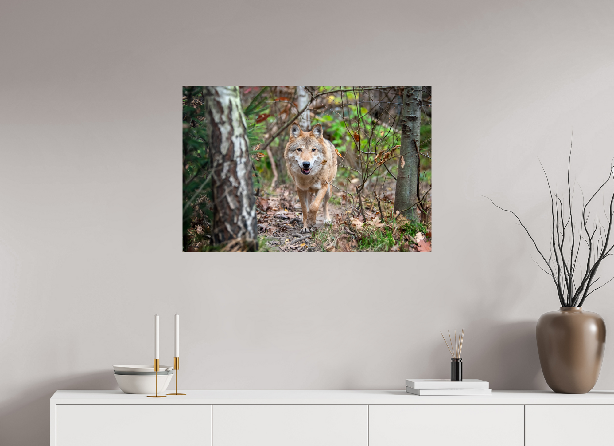 Loup Sologne