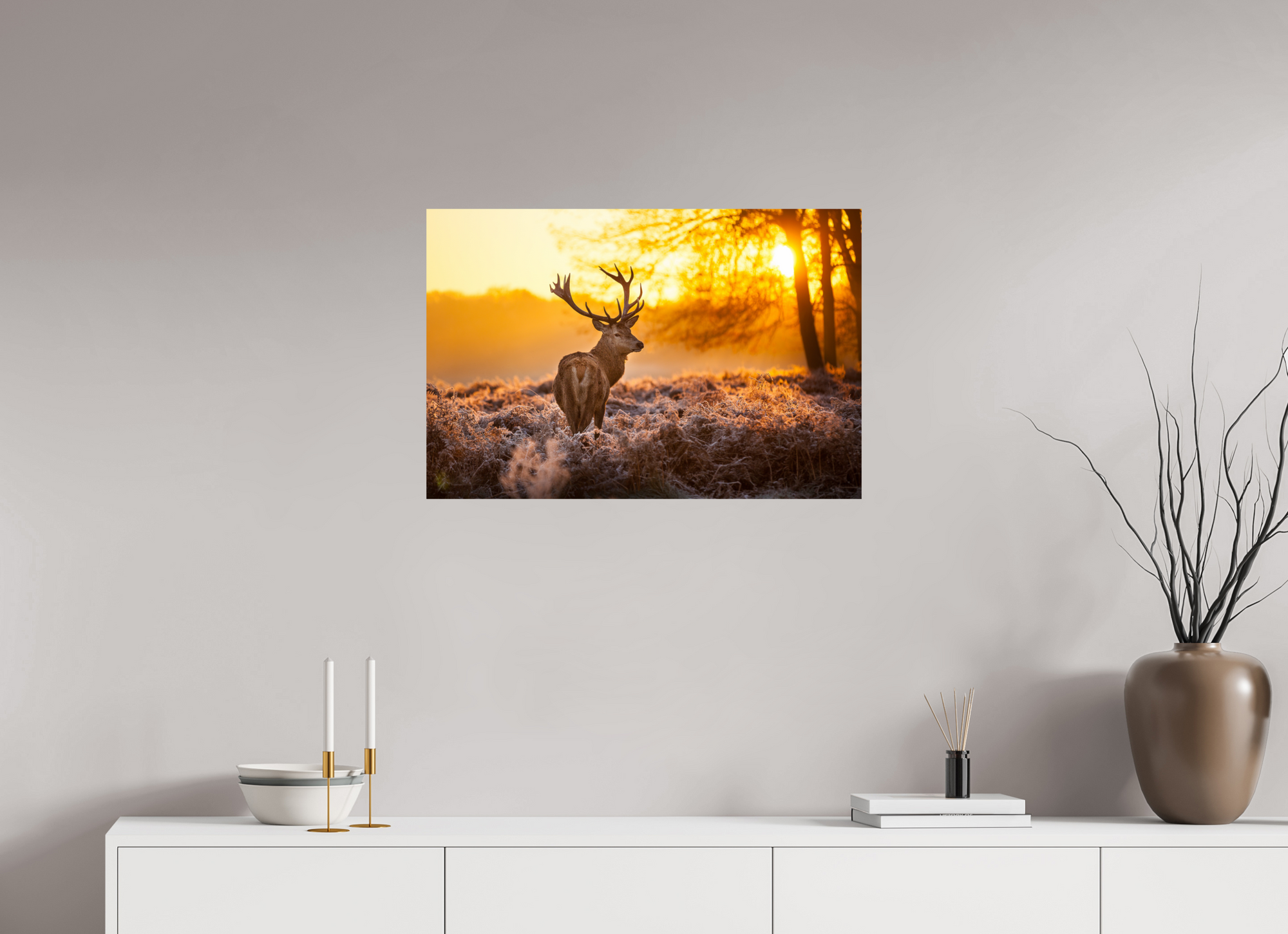 Cerf Sologne