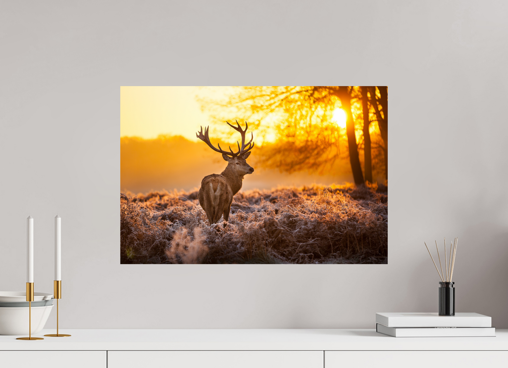 Cerf Sologne