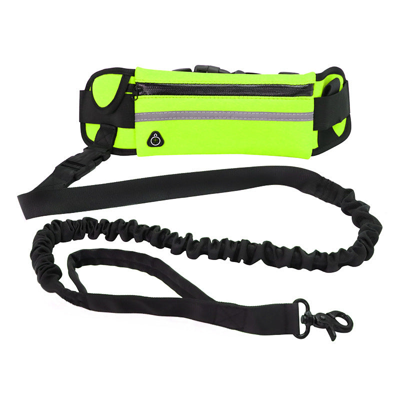 Laisse mains libres pour chien, ceinture de promenade et de dressage pour animaux de compagnie avec élastique absorbant les chocs