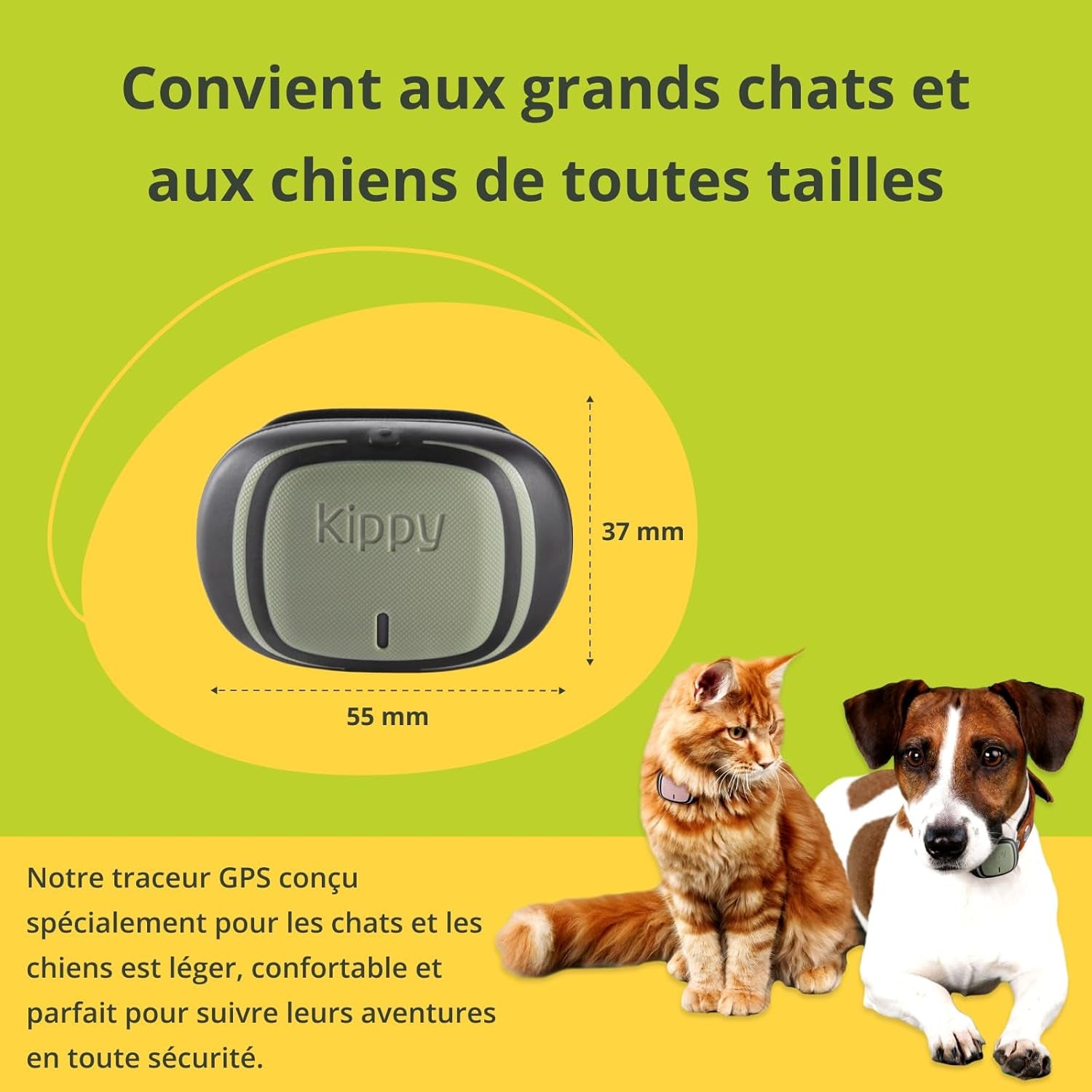 Collier GPS Chat, Chien Evo - GPS Chien, Chat Satellite Étanche - Traceur GPS Chien, Chat De Santé Et D'Activité - Localisateur Avec Alertes Instantanées Et LED - Vert