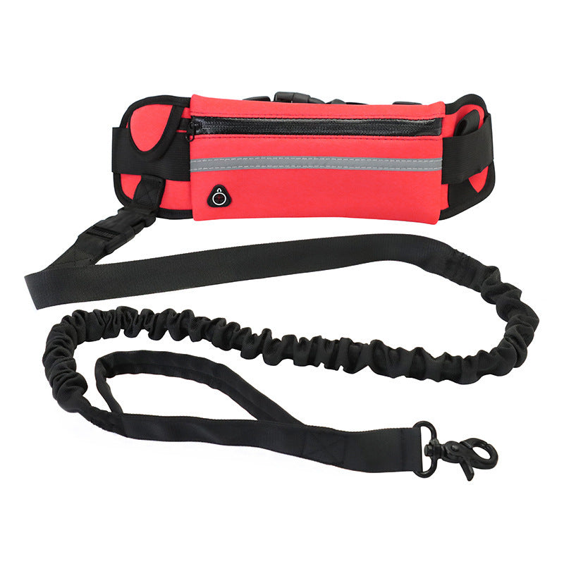 Laisse mains libres pour chien, ceinture de promenade et de dressage pour animaux de compagnie avec élastique absorbant les chocs