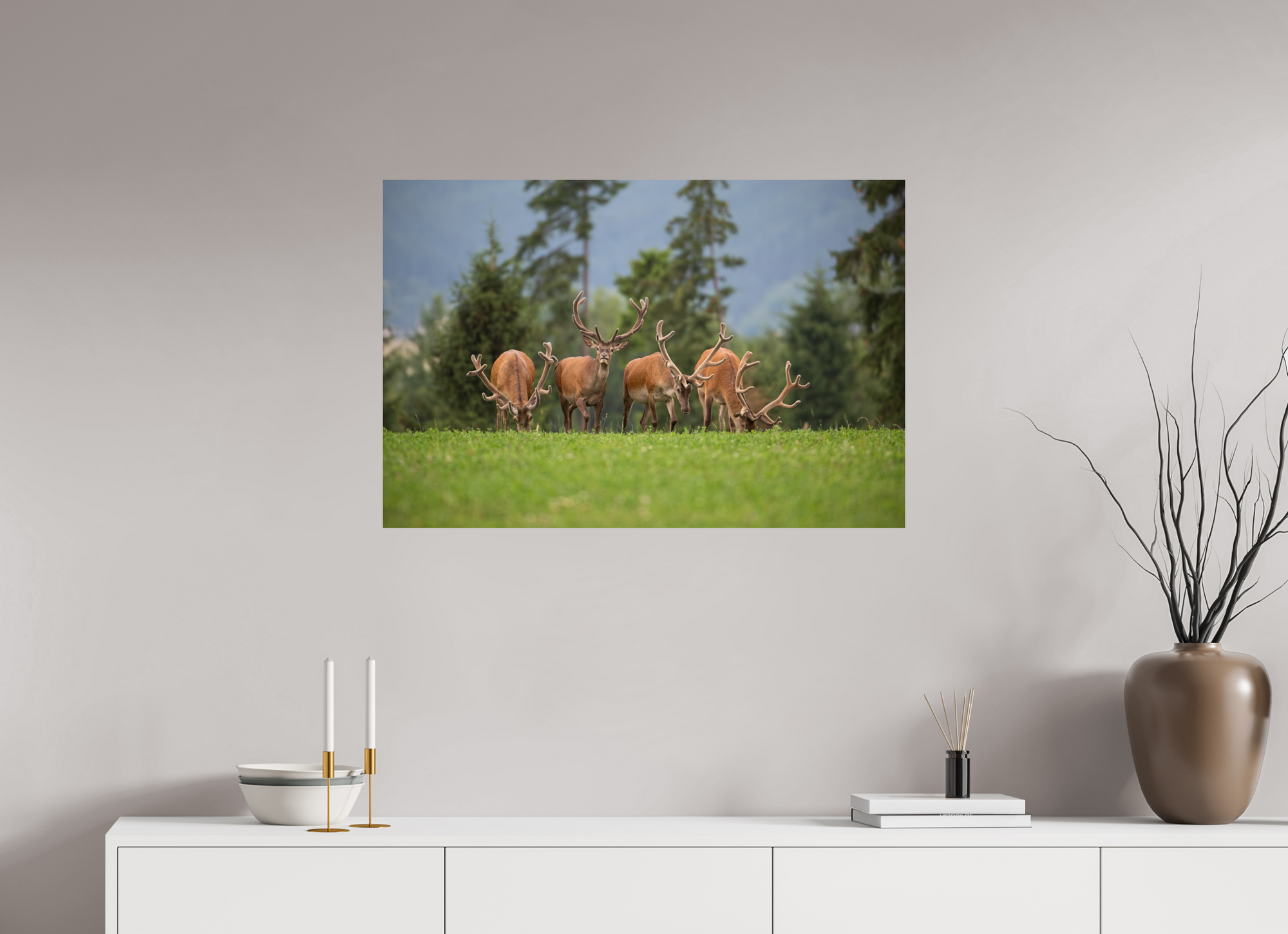 Cerf Alpes