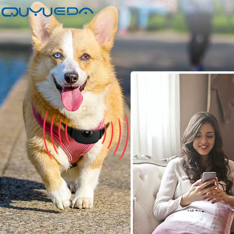 Traceur GPS 4G étanche pour animaux de compagnie, collier de suivi GPS pour chien