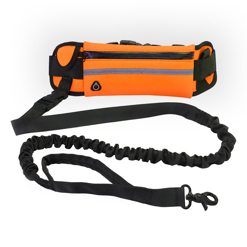 Laisse mains libres pour chien, ceinture de promenade et de dressage pour animaux de compagnie avec élastique absorbant les chocs