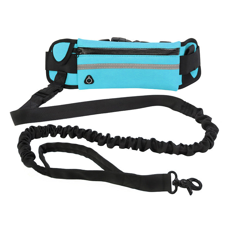 Laisse mains libres pour chien, ceinture de promenade et de dressage pour animaux de compagnie avec élastique absorbant les chocs