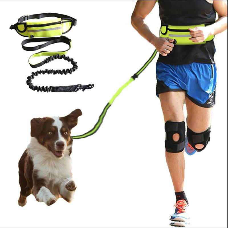 Laisse mains libres pour chien, ceinture de promenade et de dressage pour animaux de compagnie avec élastique absorbant les chocs