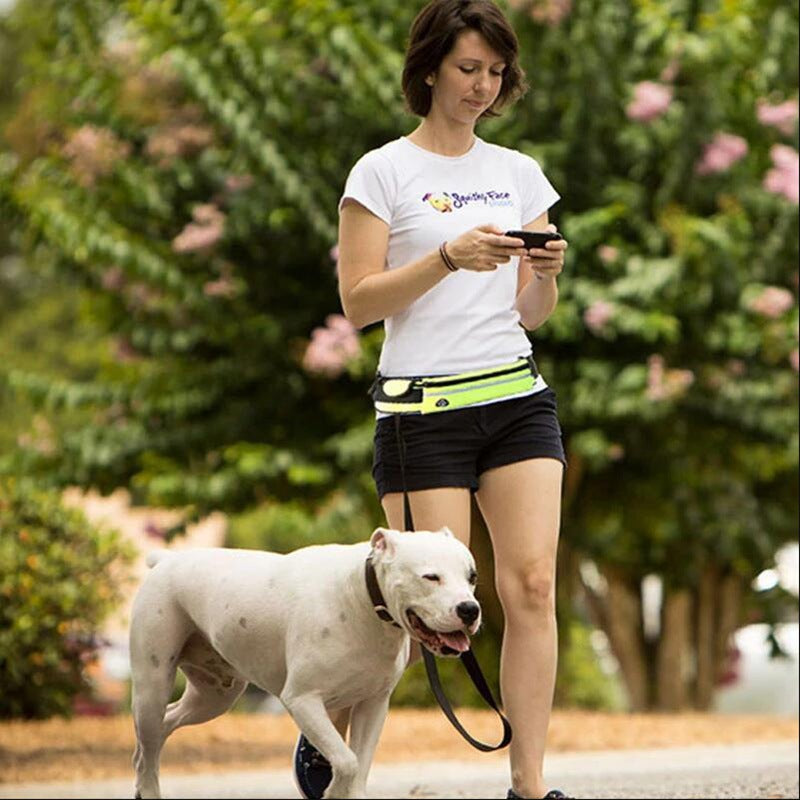 Laisse mains libres pour chien, ceinture de promenade et de dressage pour animaux de compagnie avec élastique absorbant les chocs