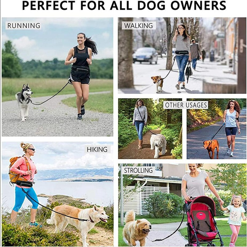 Laisse mains libres pour chien, ceinture de promenade et de dressage pour animaux de compagnie avec élastique absorbant les chocs