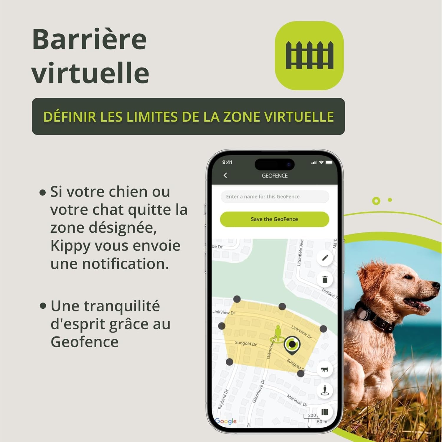 Collier GPS Chat, Chien Evo - GPS Chien, Chat Satellite Étanche - Traceur GPS Chien, Chat De Santé Et D'Activité - Localisateur Avec Alertes Instantanées Et LED - Vert