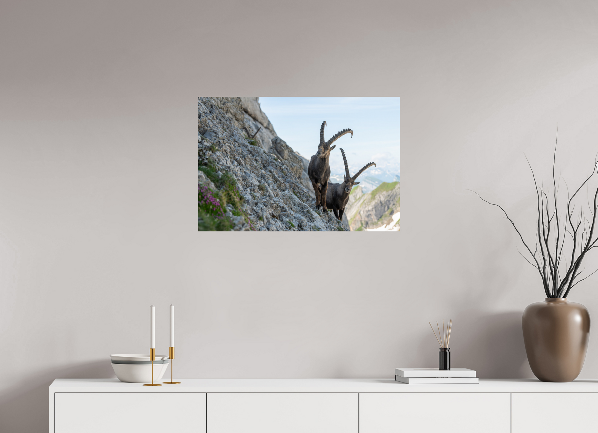 Bouquetin Alpes