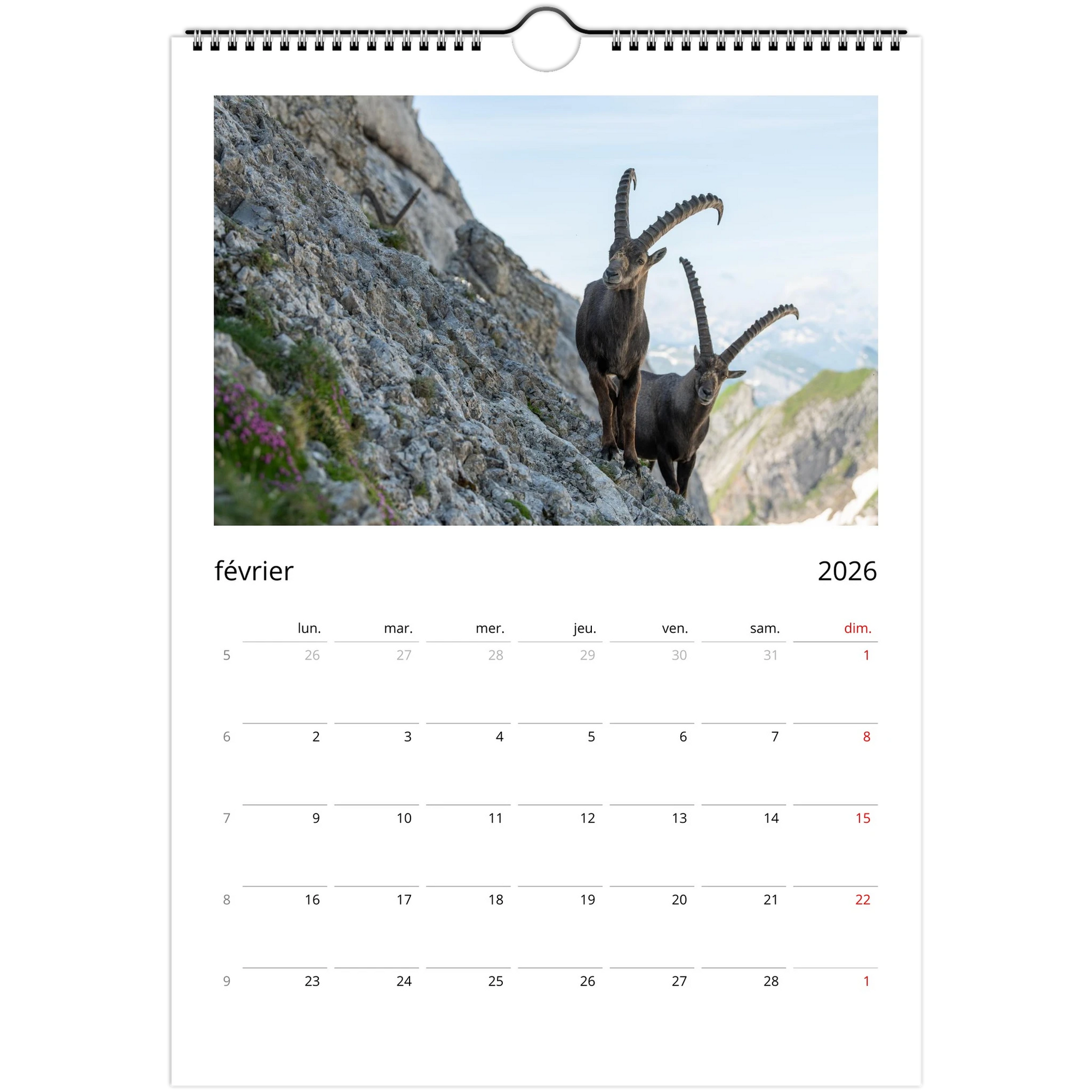 9eb777ba-305a-436d-9c2b-87d920381886