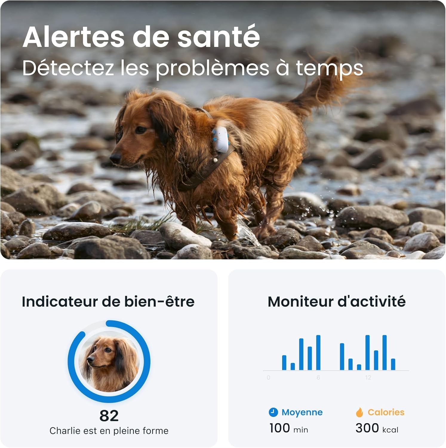 – Collier GPS Pour Chien - Élue Marque De L'Année - Localisation Globale En Direct - Alertes Anti-Fugue - Moniteur D'Activité Avec Alertes De Santé