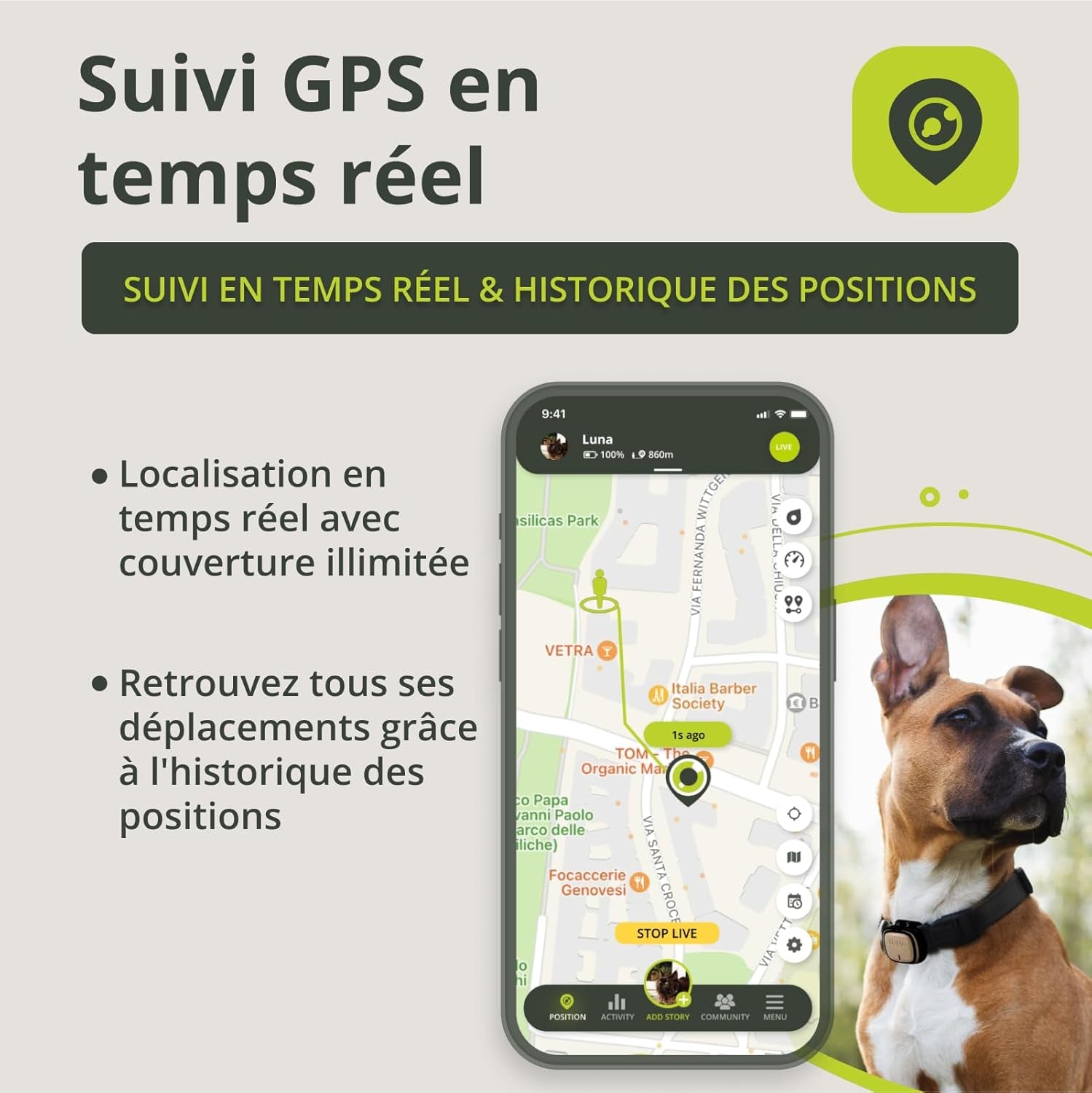 Collier GPS Chat, Chien Evo - GPS Chien, Chat Satellite Étanche - Traceur GPS Chien, Chat De Santé Et D'Activité - Localisateur Avec Alertes Instantanées Et LED - Vert