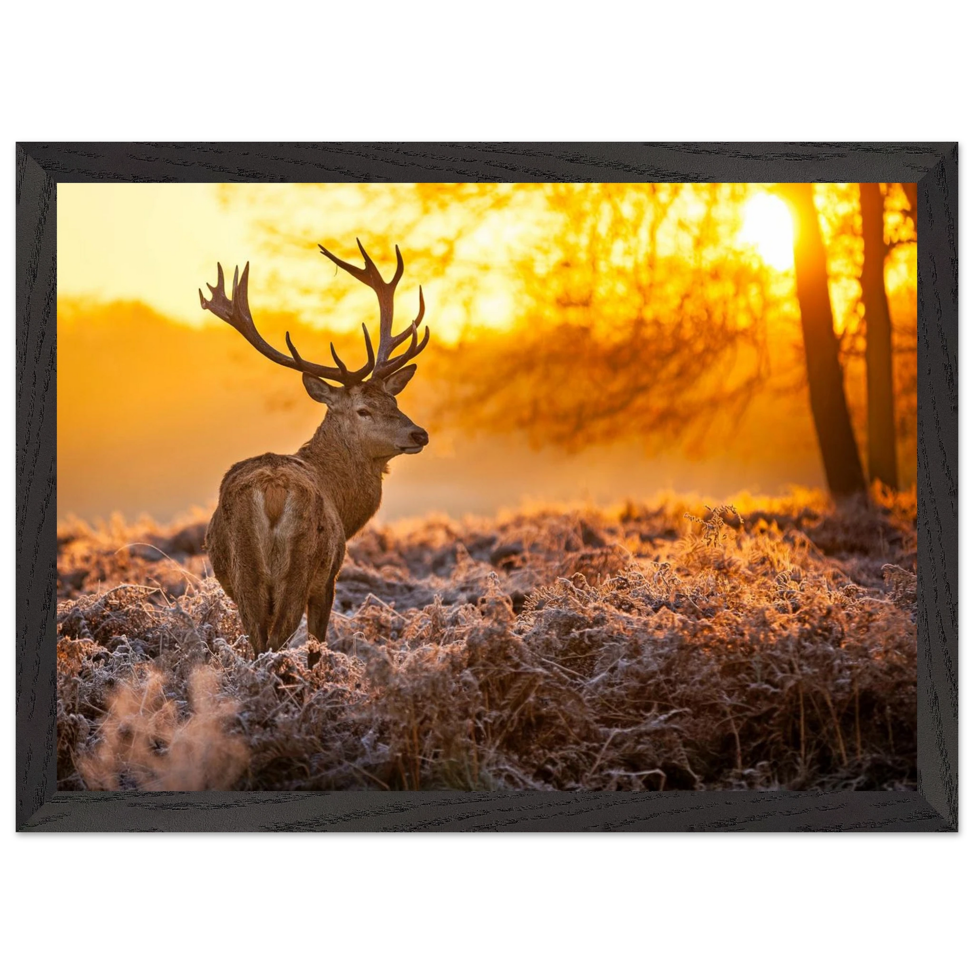 bde72d6e-6565-4adf-8139-491cc20fbfe2