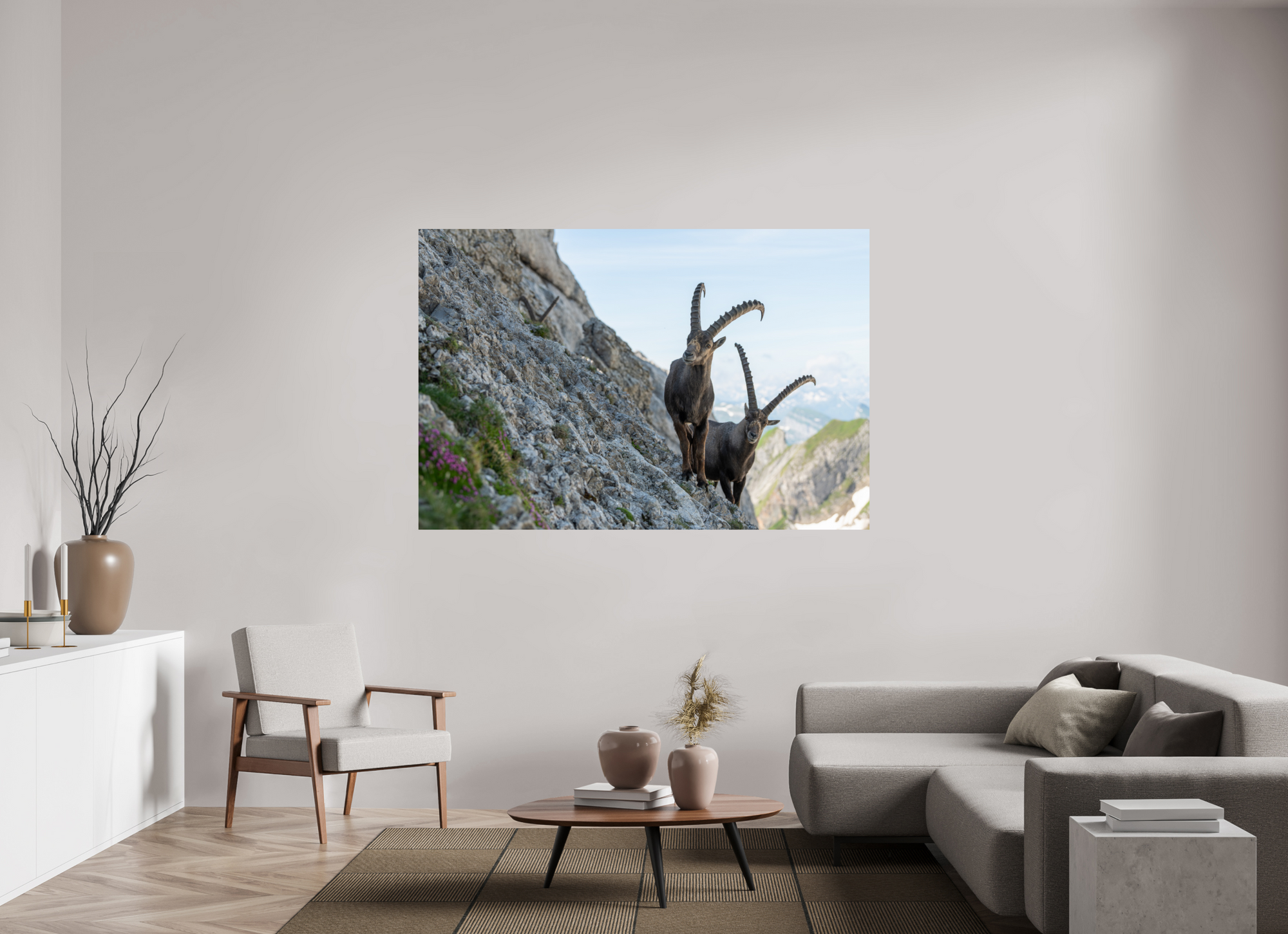 Bouquetin Alpes