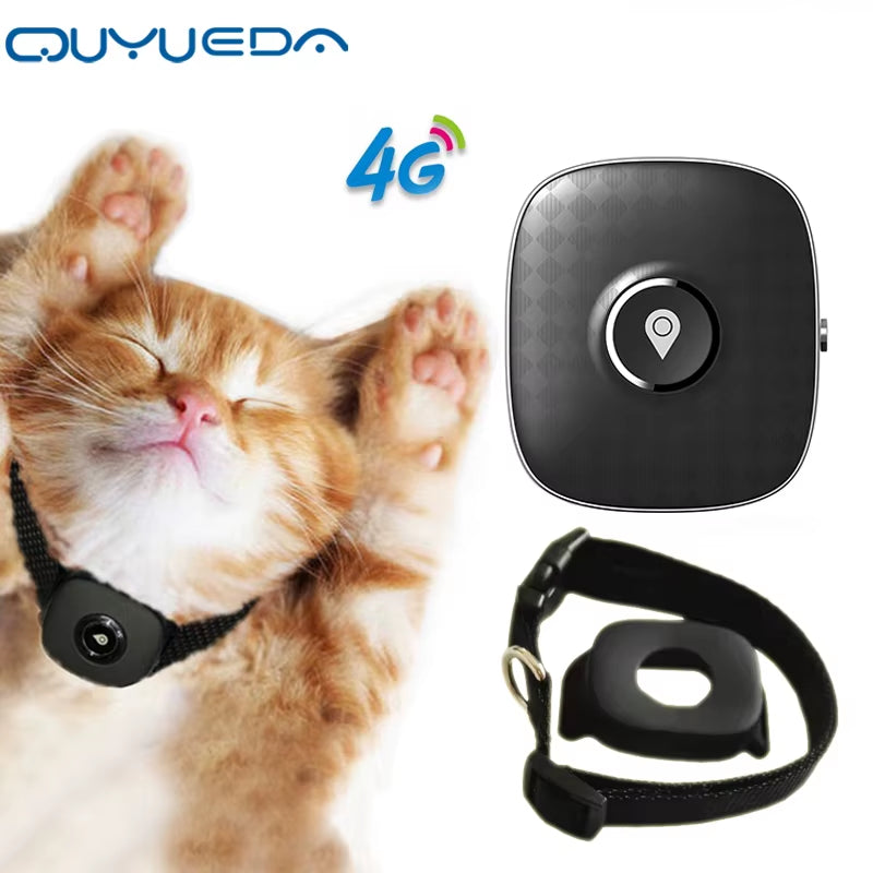 Traceur GPS 4G étanche pour animaux de compagnie, collier de suivi GPS pour chien