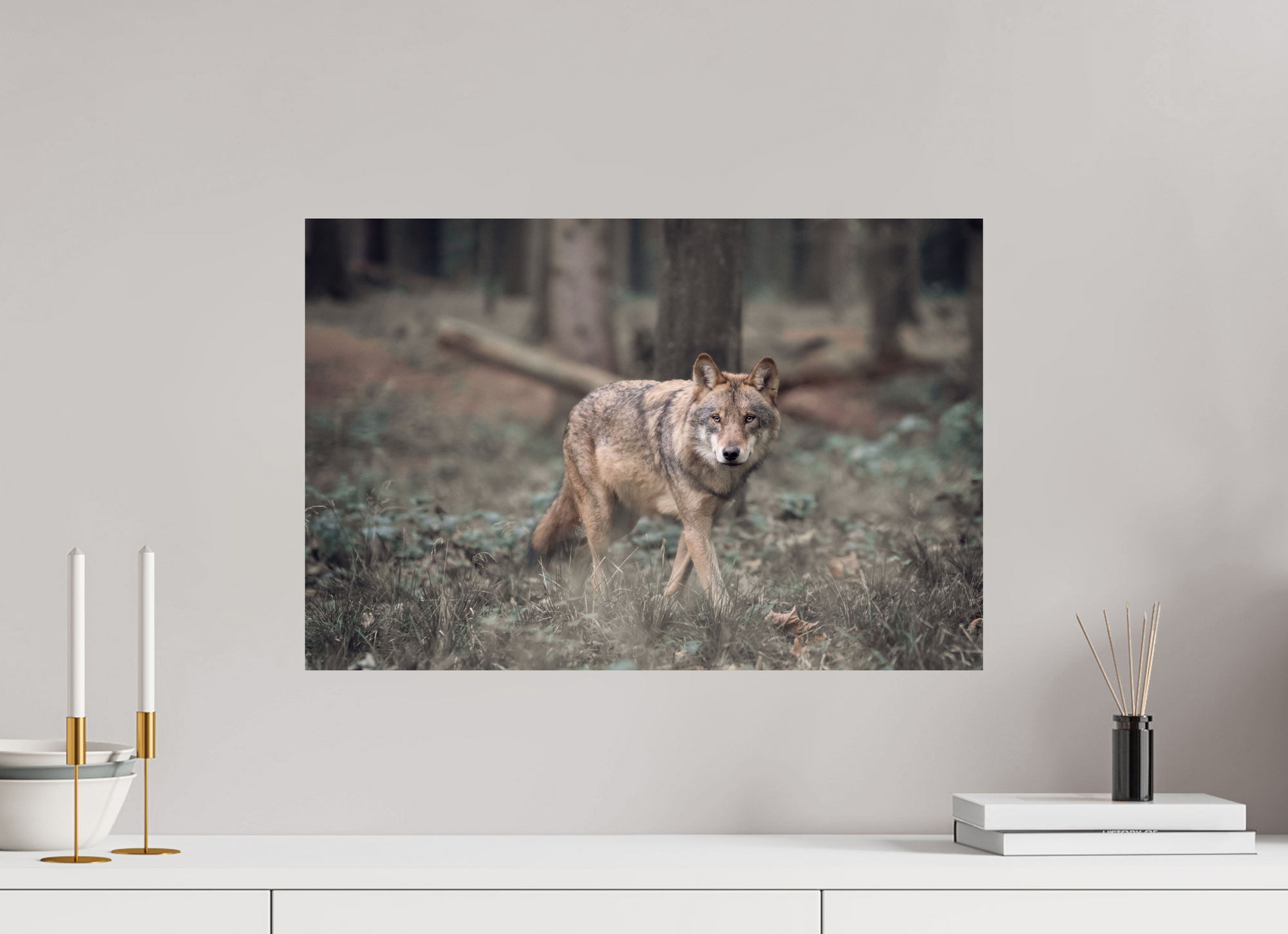 Loup Vosges