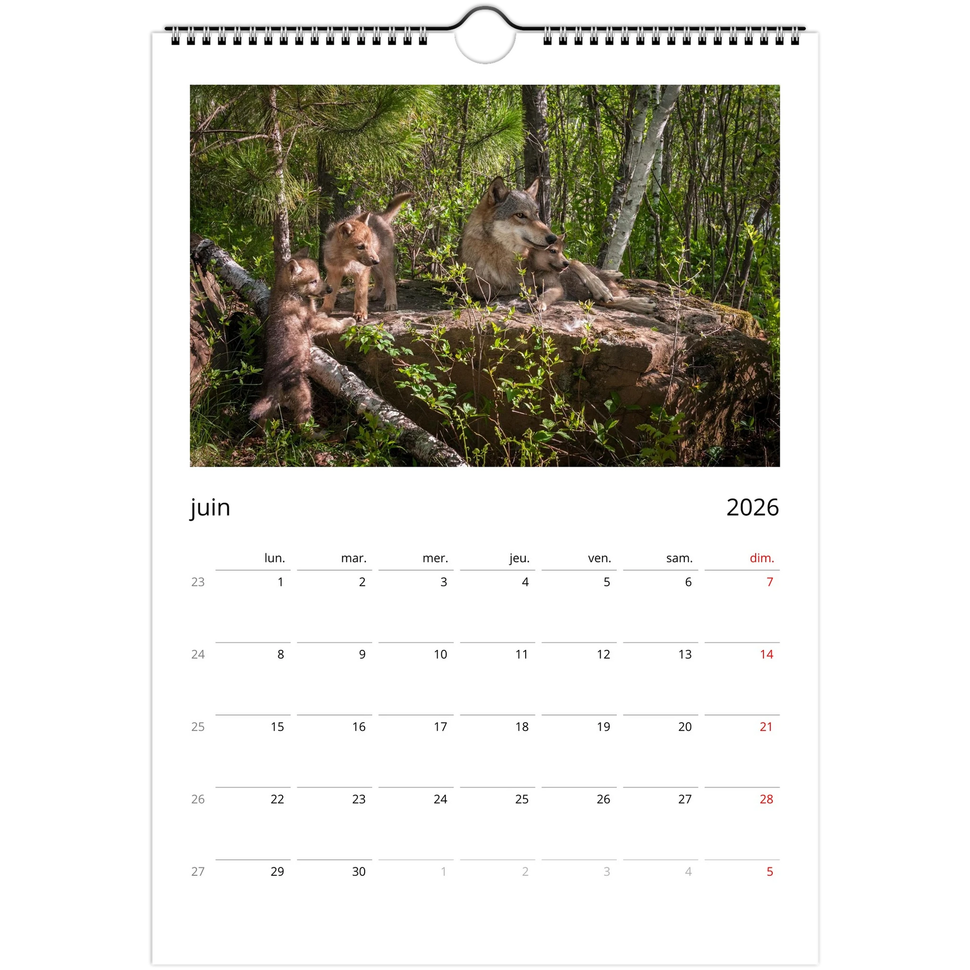 d9ec0625-4c56-4638-916c-05ea824674a4