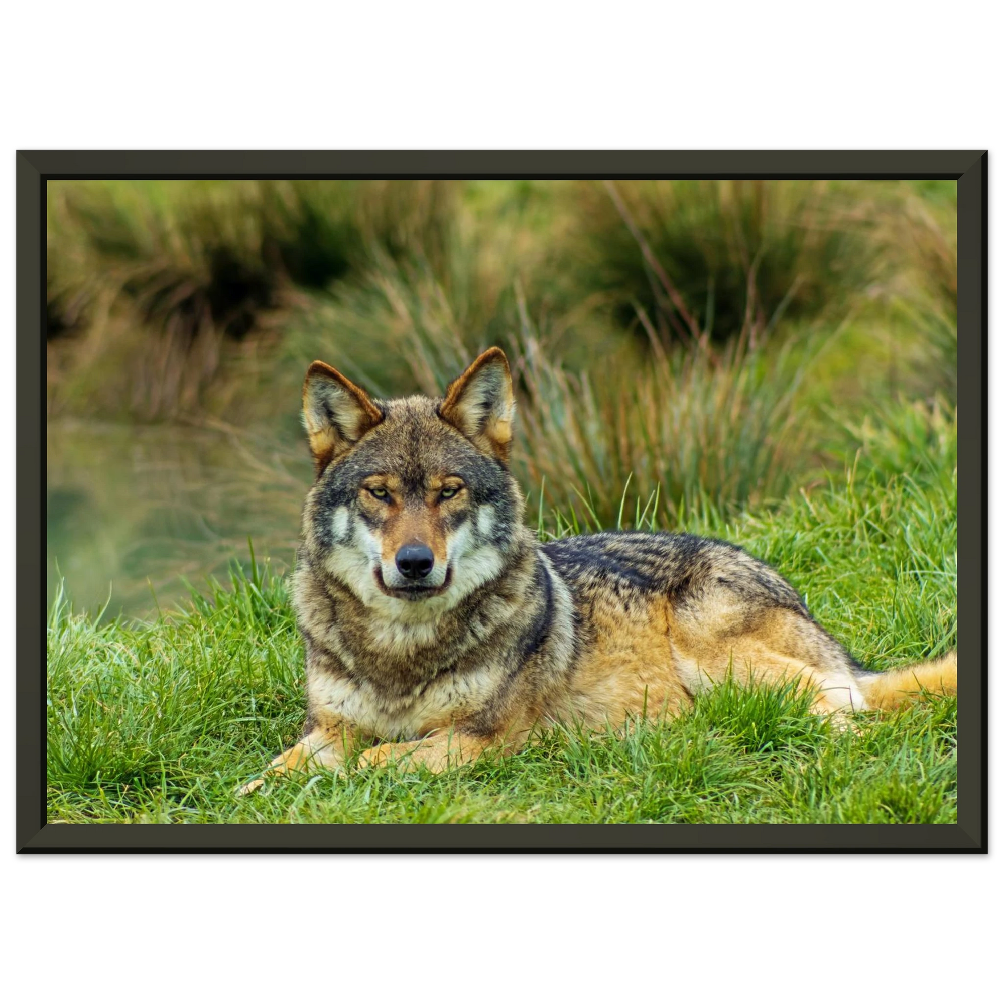 e75479e7-b023-4510-b0c2-5fa576aeafb2