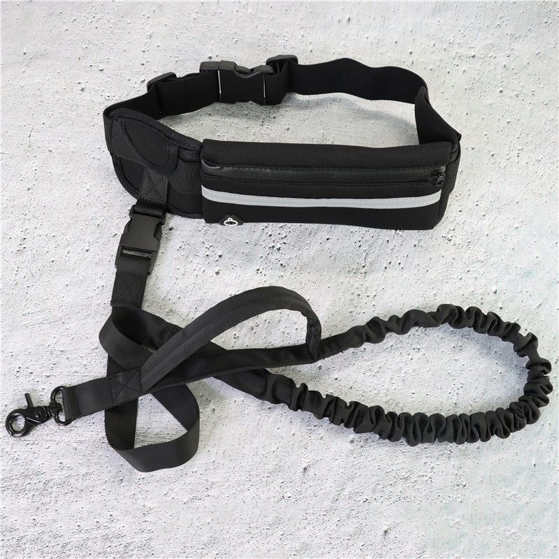 Laisse mains libres pour chien, ceinture de promenade et de dressage pour animaux de compagnie avec élastique absorbant les chocs