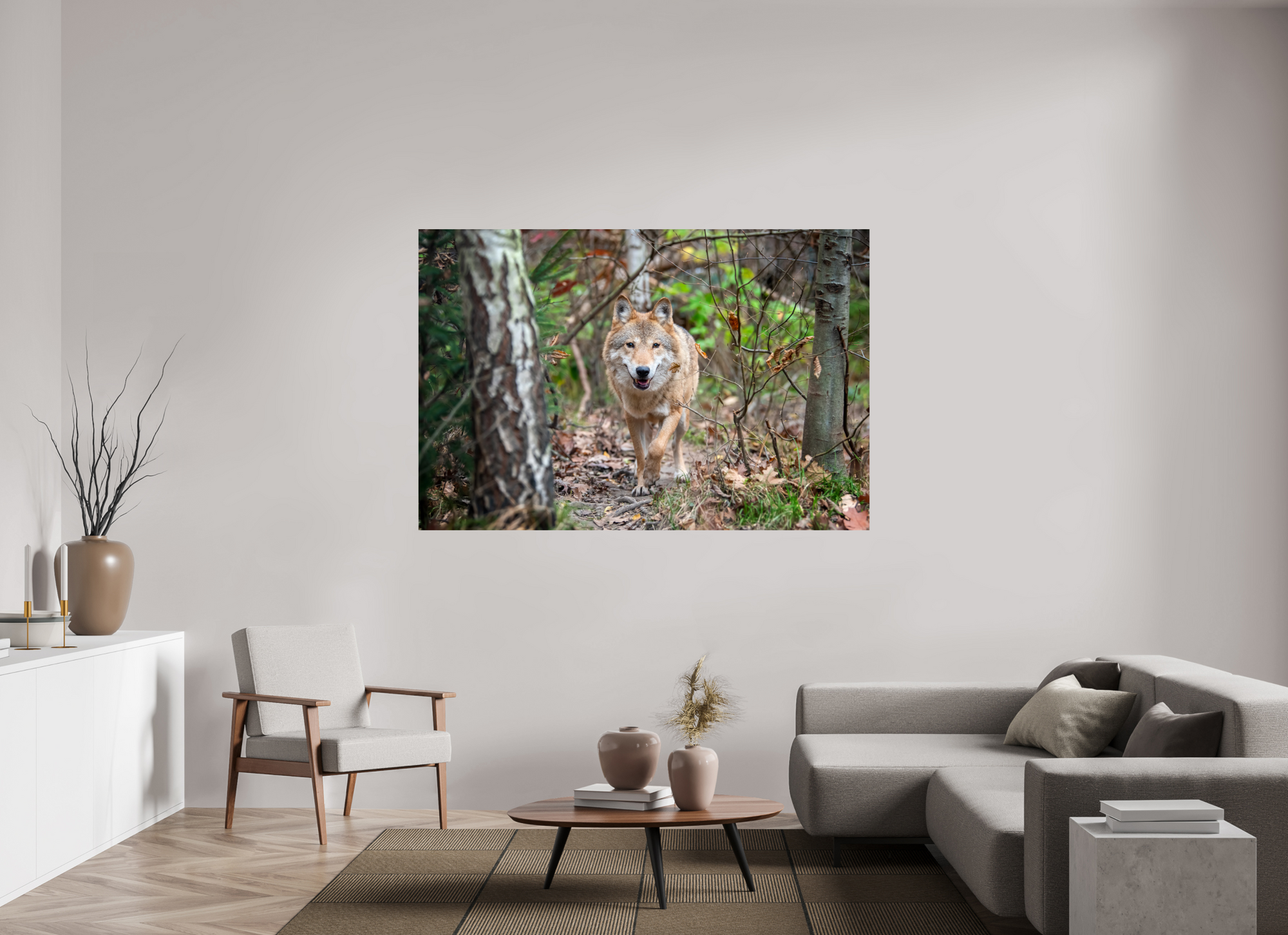 Loup Sologne